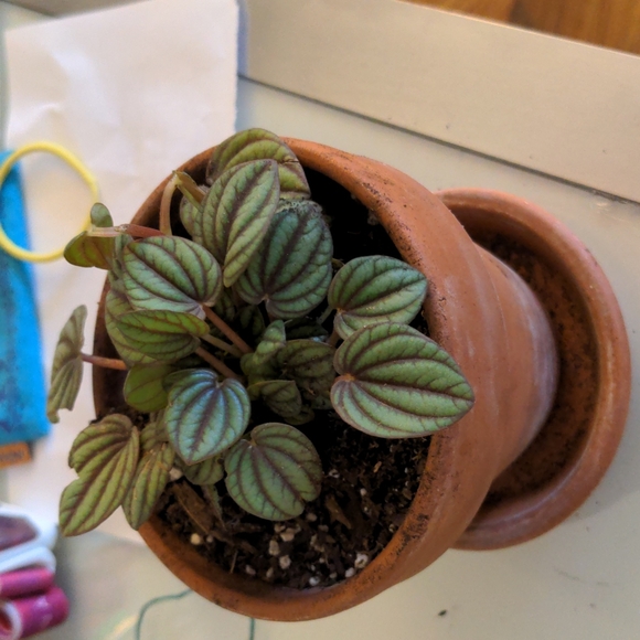 Shana's Closet - Picture 3 of 4